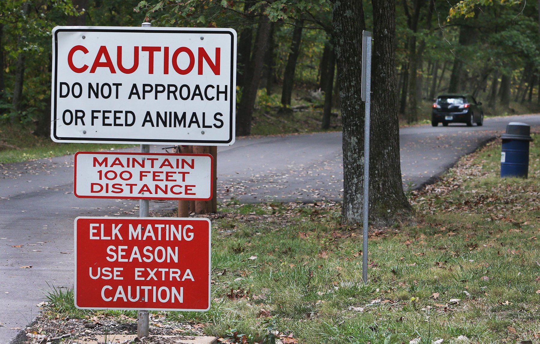 People are Ignoring the Signs at Lone Elk Park